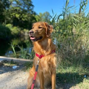 Meet your Posher, Annah